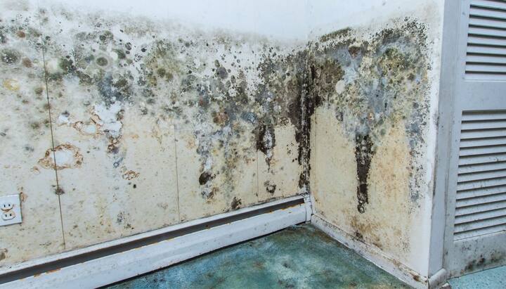Mold-Damager-Odor-Control in San Antonio